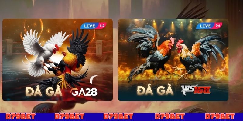 Giới thiệu hệ thống trò chơi về chúng tôi D79bet