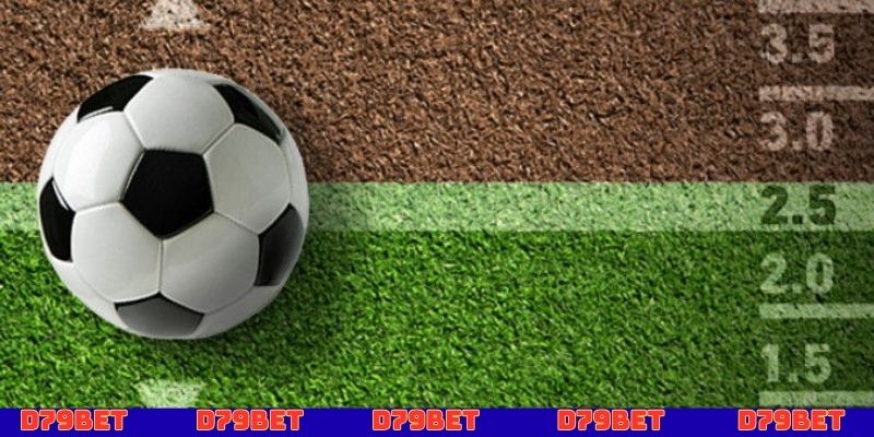 Một vài loại kèo tài xỉu cả trận mà bạn cần nắm rõ để chơi