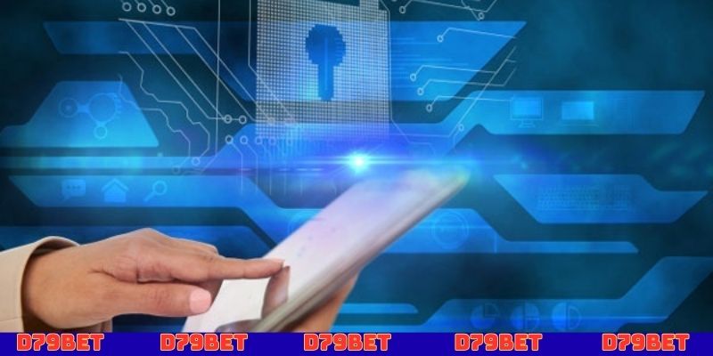 Quyền lợi, trách nhiệm của người dùng trong chính sách bảo mật D79bet